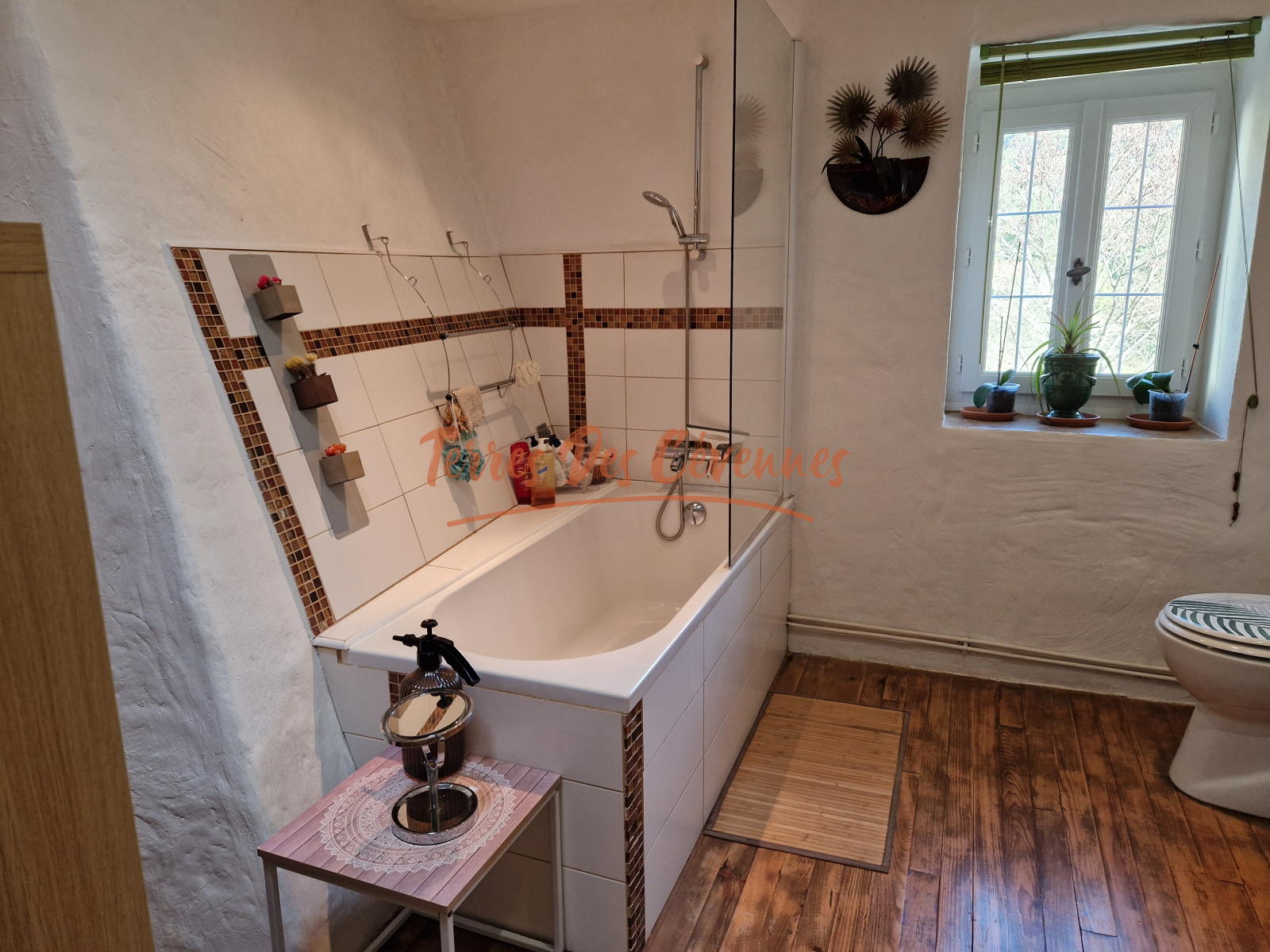 Image_, Maison de village, Mialet, ref :2518