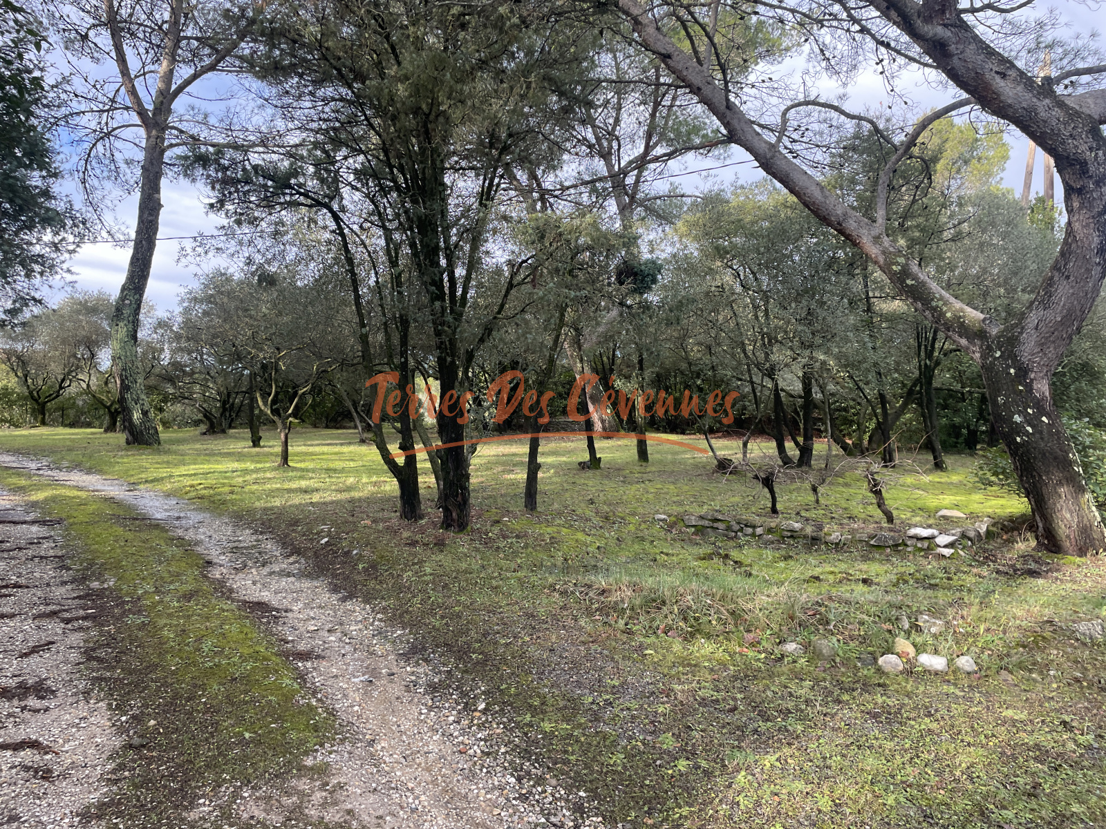 Image_, Maison, Boisset-et-Gaujac, ref :2521