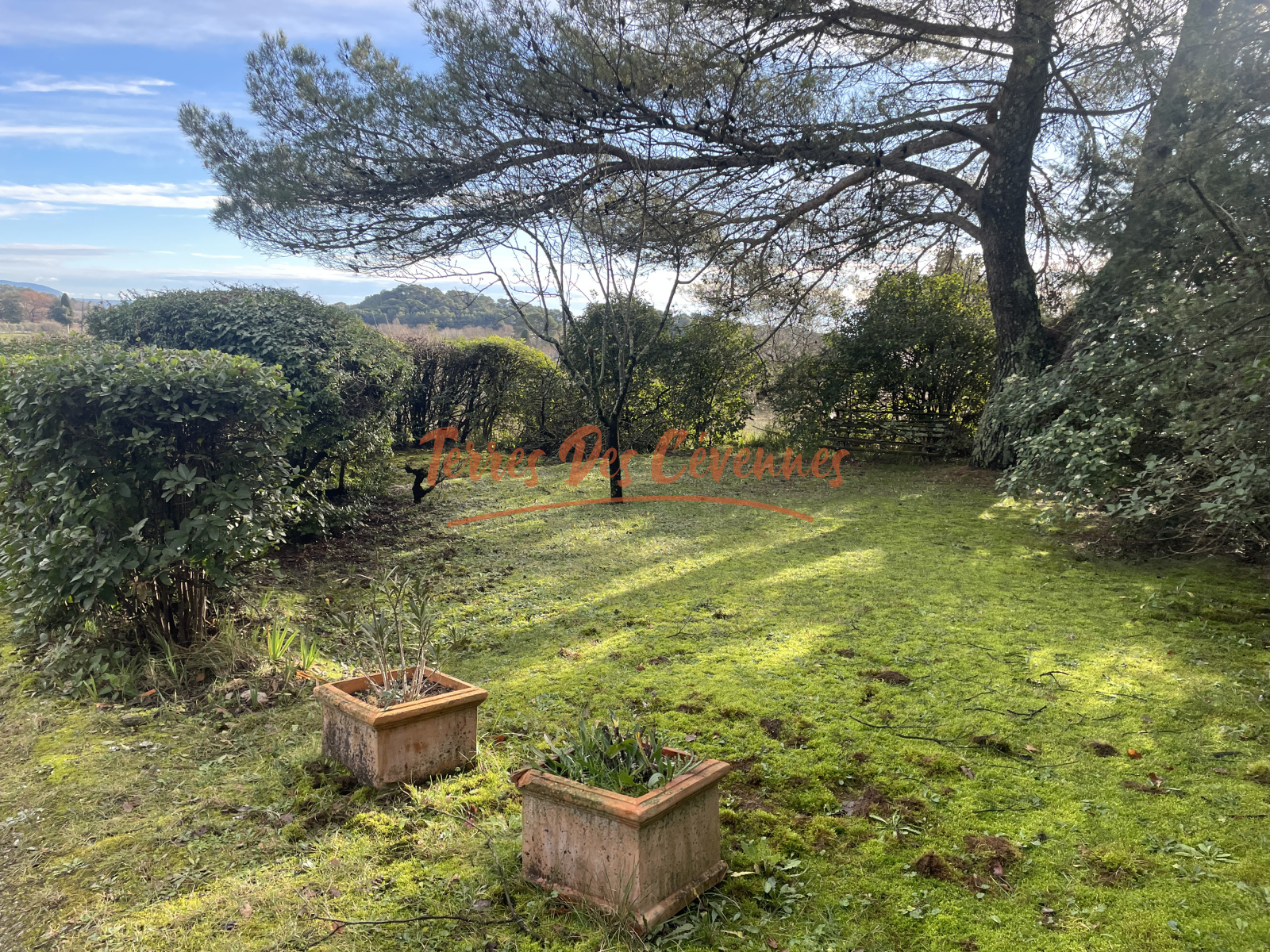 Image_, Maison, Boisset-et-Gaujac, ref :2521