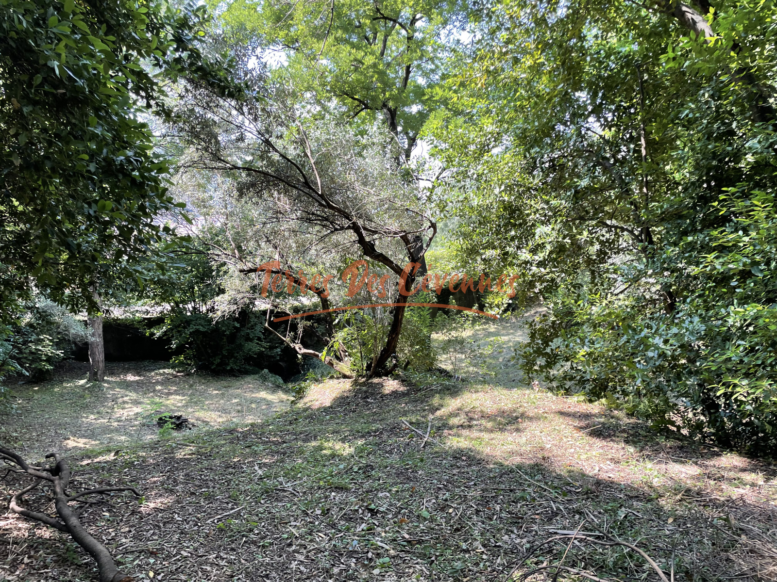 Image_, Maison, Anduze, ref :2460