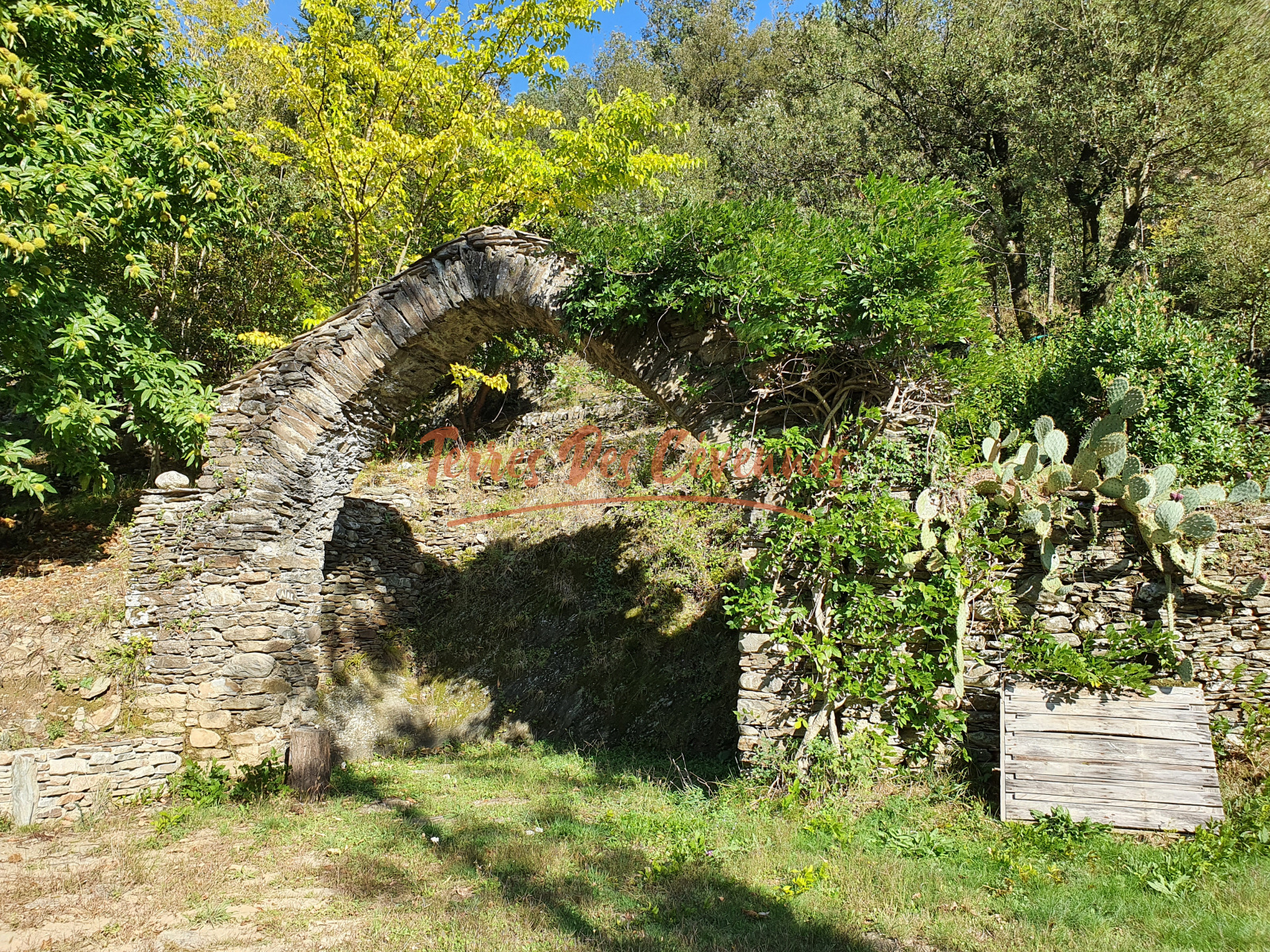 Image_, Propriete, Saint-Jean-du-Gard, ref :2409