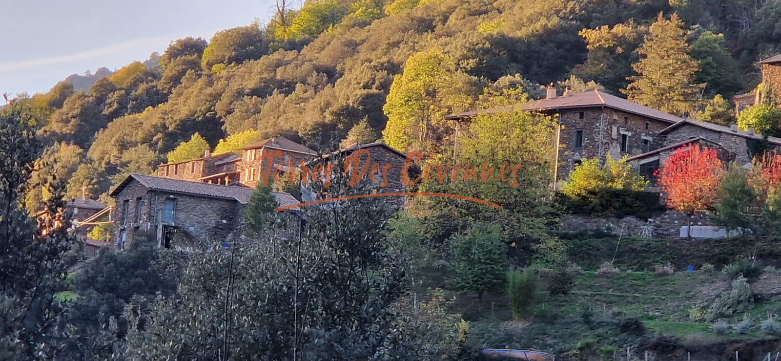 Image_, Maison de village, Plantiers, ref :2436