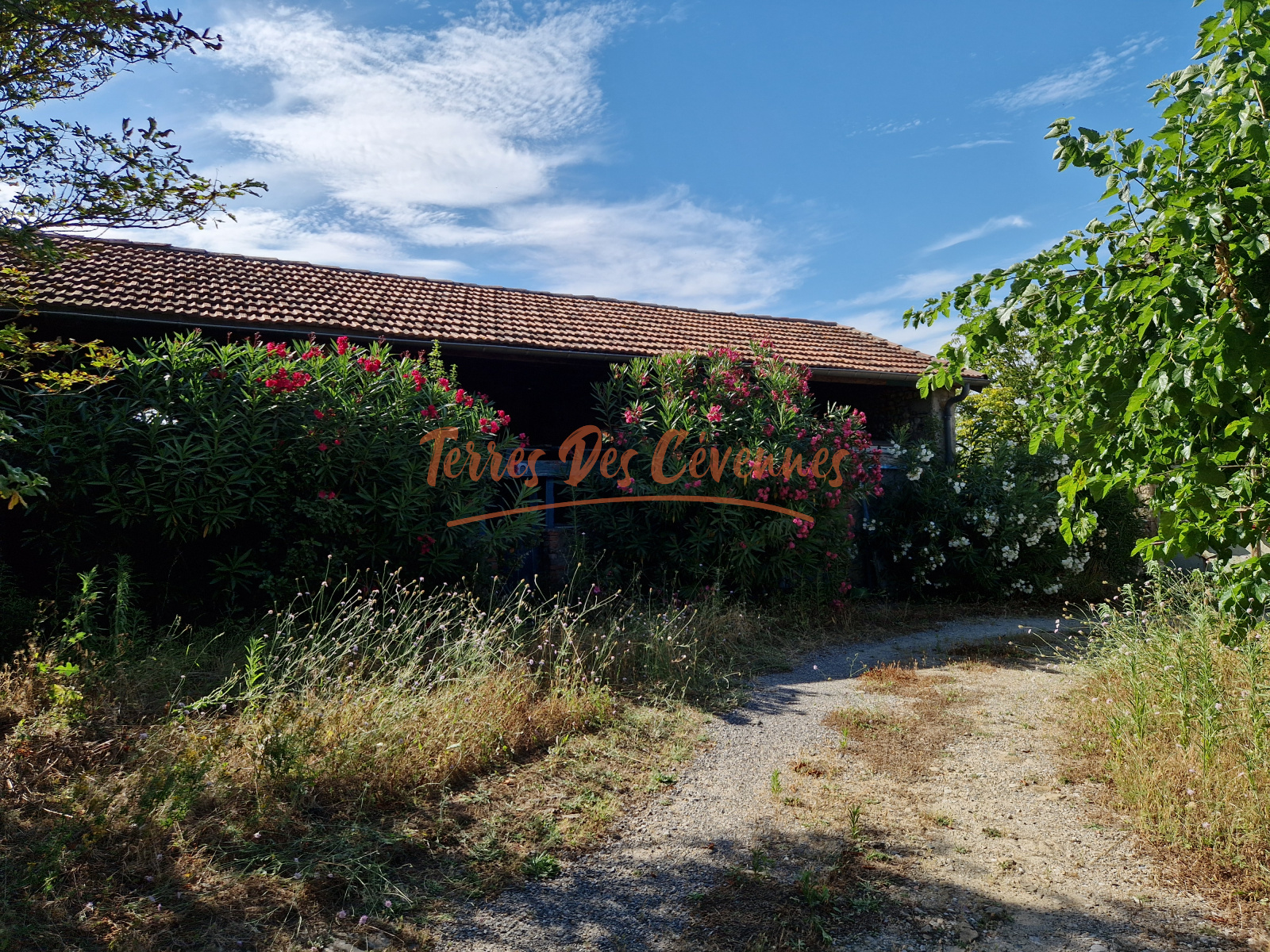 Image_, Ferme, Ribaute-les-Tavernes, ref :2505