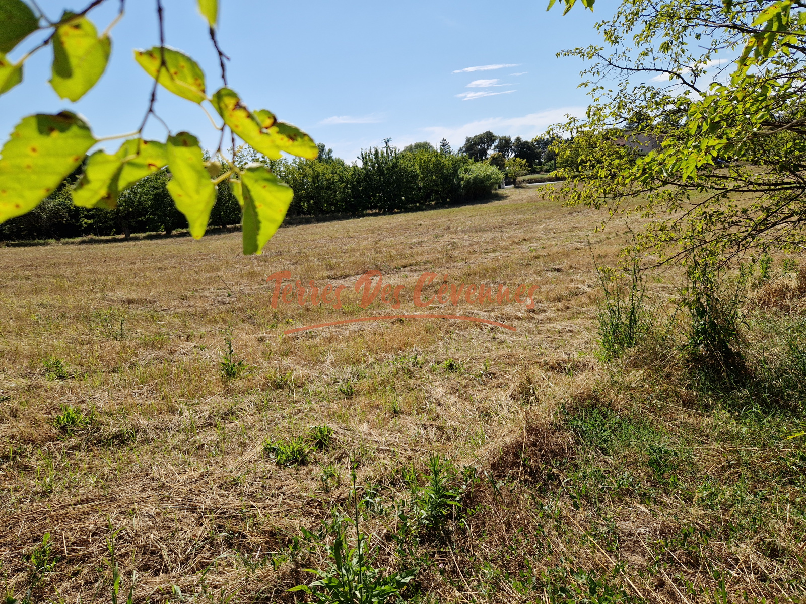 Image_, Ferme, Ribaute-les-Tavernes, ref :2505